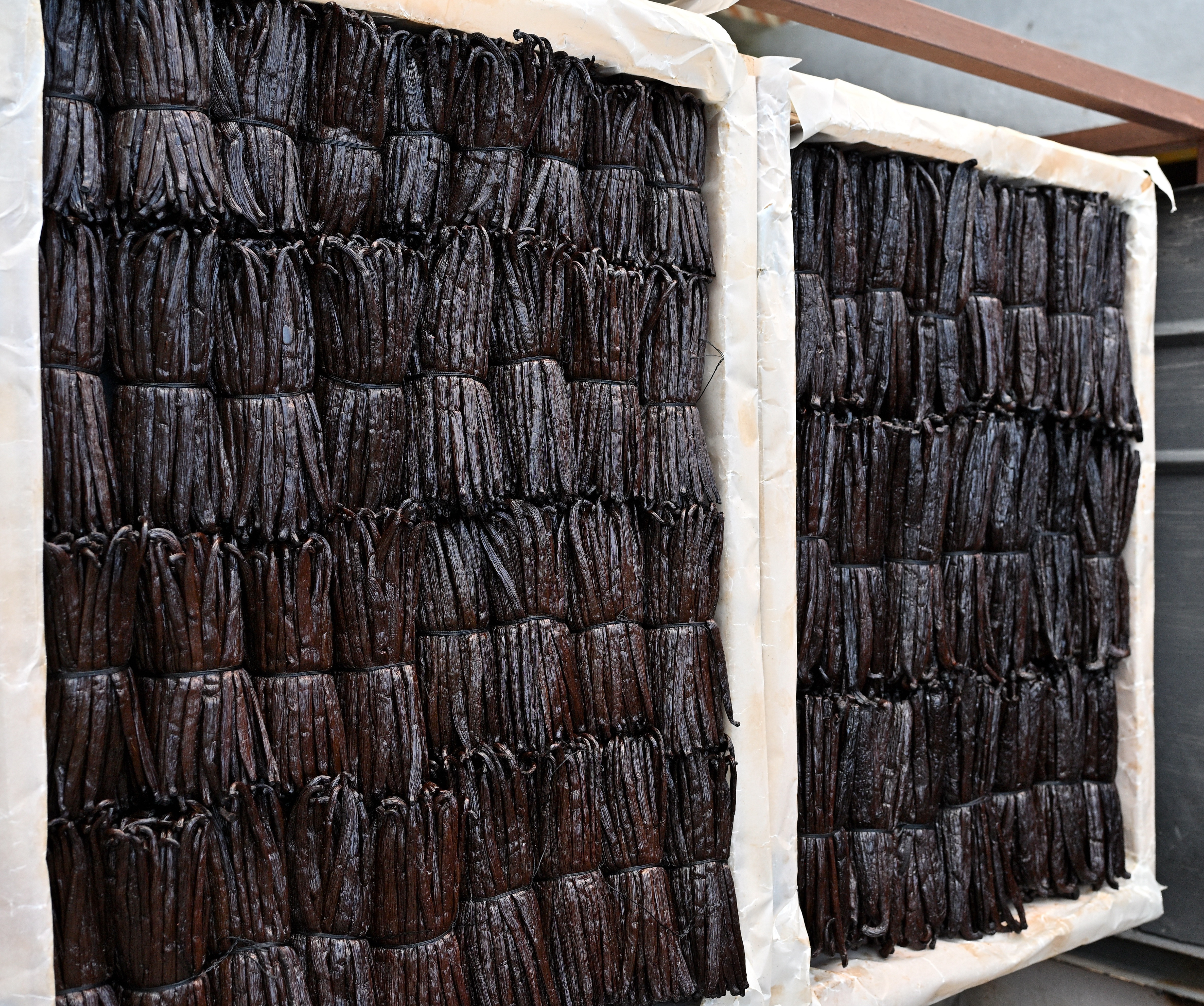 Vanilla farmer in Madagascar